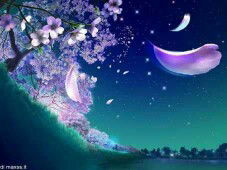 Ny.Rainy profile icon