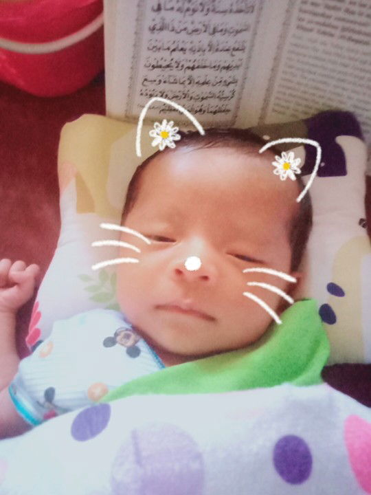 Vera Mellinda profile icon