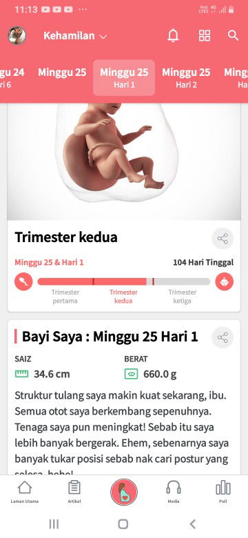 25 minggu tu dalam brapa bulan