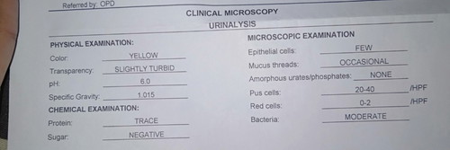 UTI