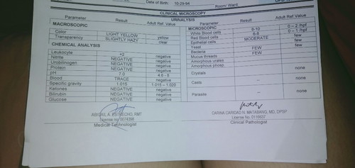laboratory result