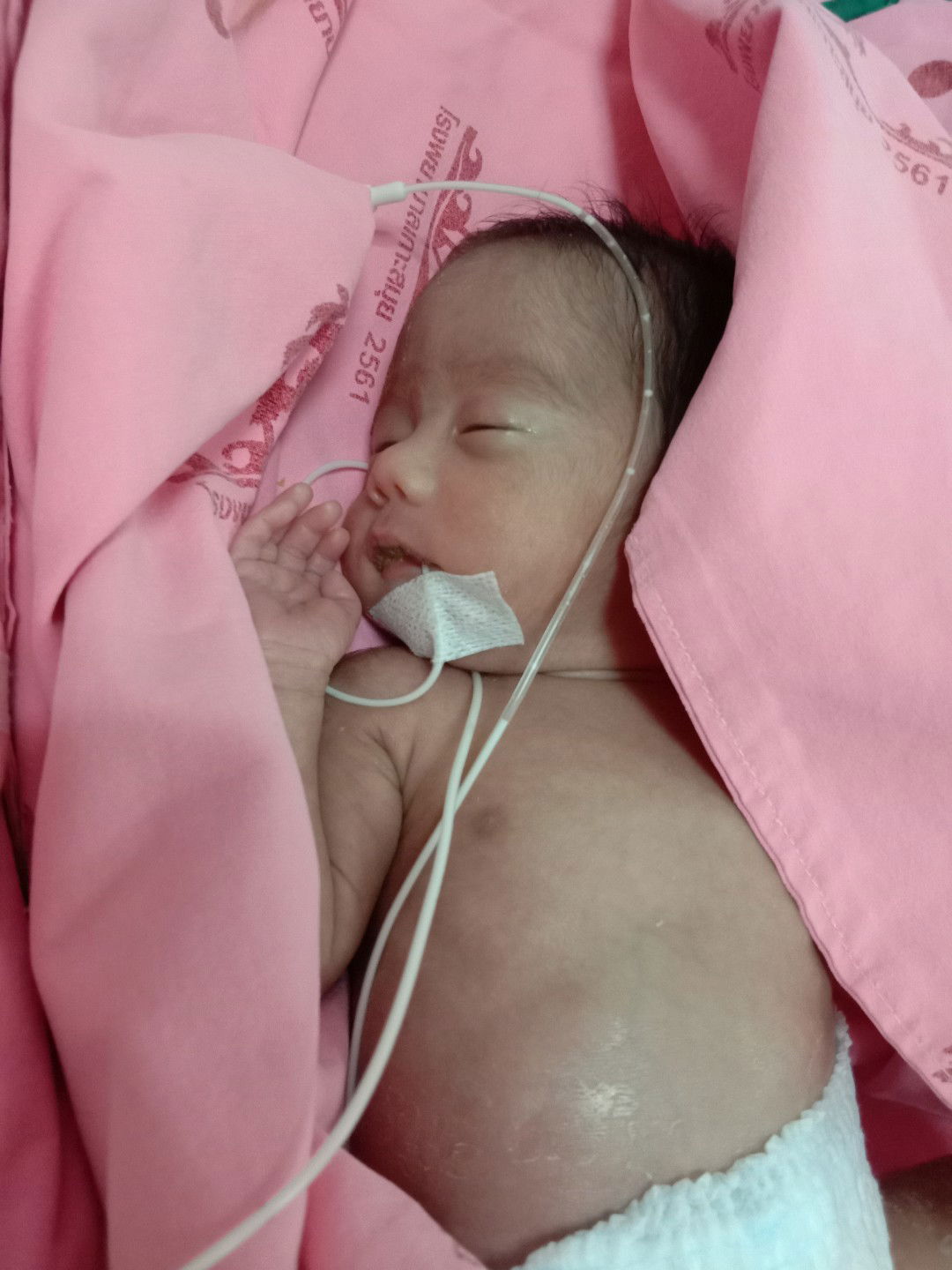 ออกจากตู้อบแล้ว