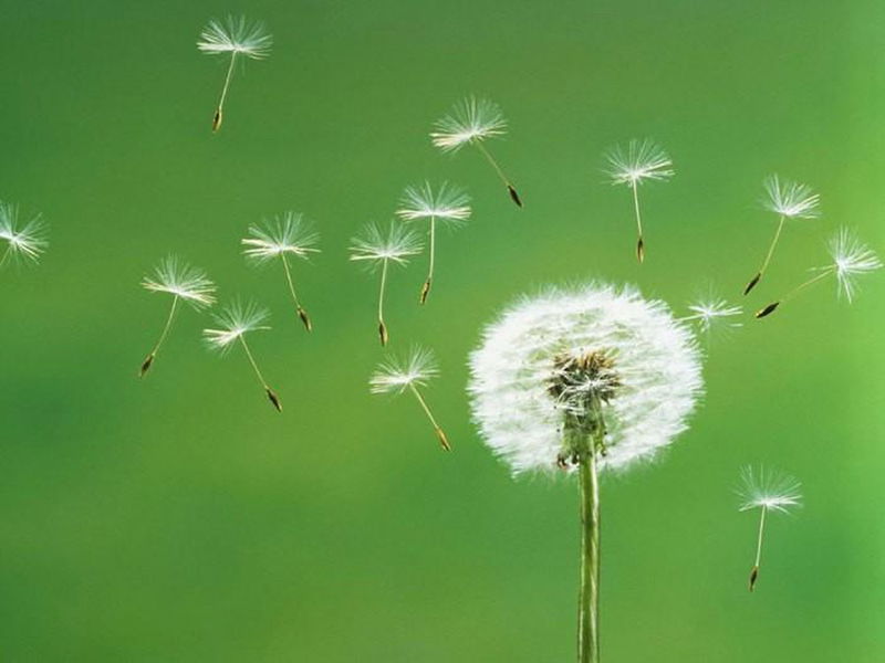 Hoài Nguyễn profile icon