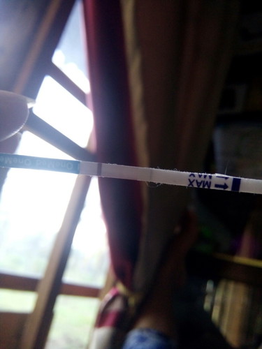 tespek sangat samar apakah positif hamil