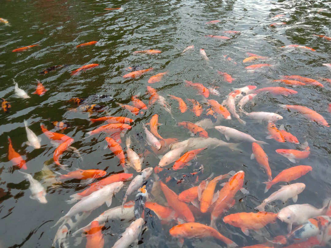 Mita Tri Handayani profile icon