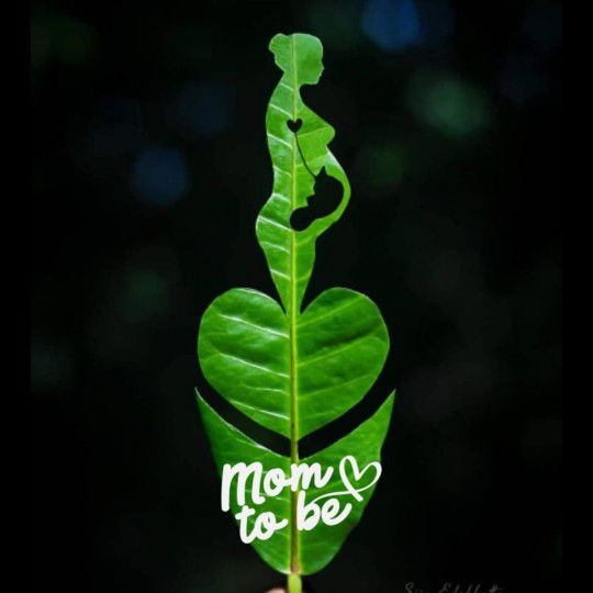 norizyanti nasir profile icon