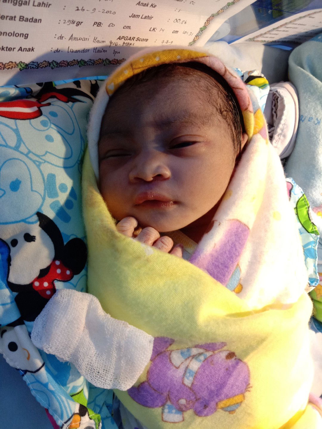 Baby_Aisyah profile icon
