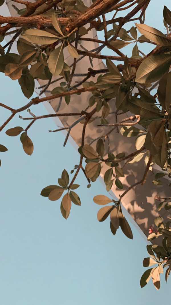 Milin W. profile icon