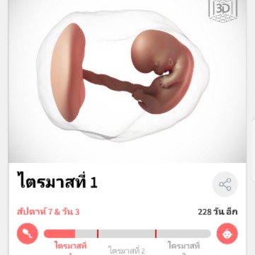 7วีคเเล้ว