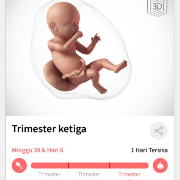 gimna ini bun blm ad tnda2