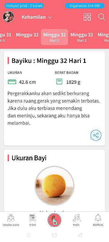 pergerakan janin trimester 3