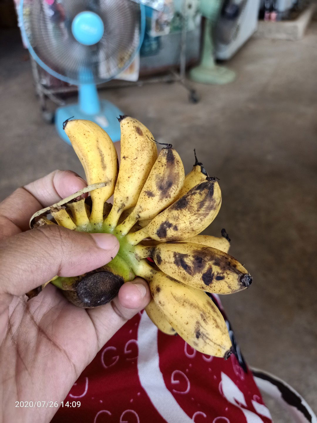 ท้องหกเดือน