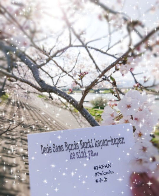 Asih 1234 profile icon