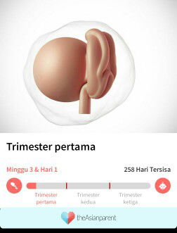 apa benar saya hamil apa tidak