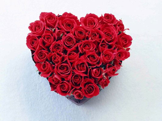 Figa Arif Permata profile icon