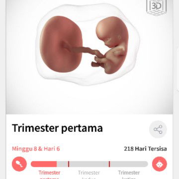 Waktu yang tepat melakukan usg