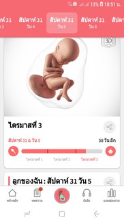 31+5week
