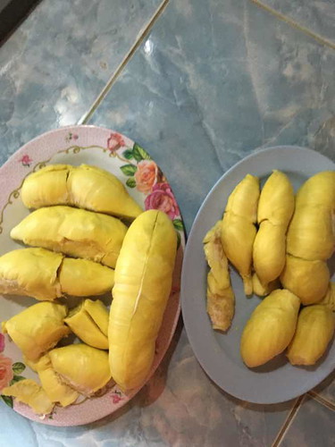 ทุเรียน