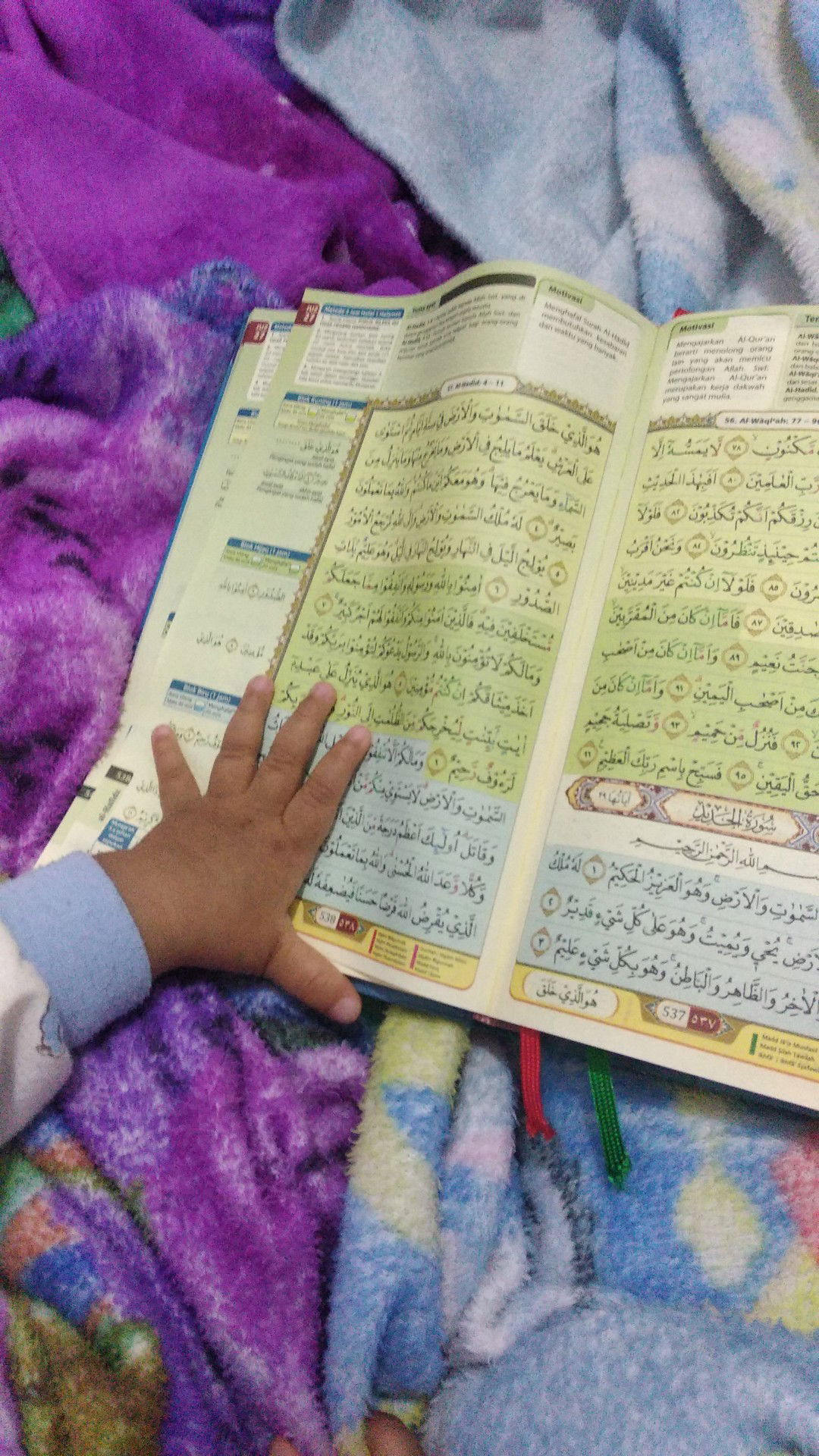 Arisma PB profile icon