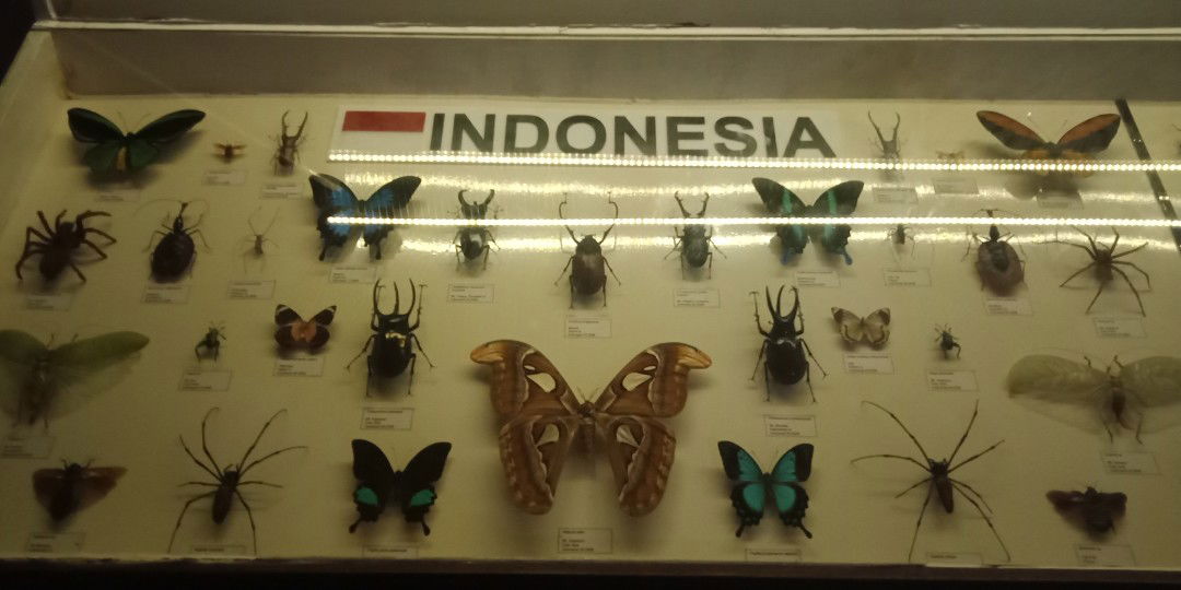 Rosalina profile icon