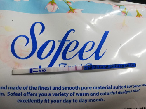 OVULATION TEST KIT