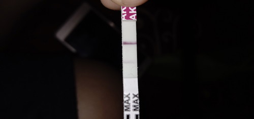 strip 2