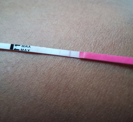 OVULATION TEST