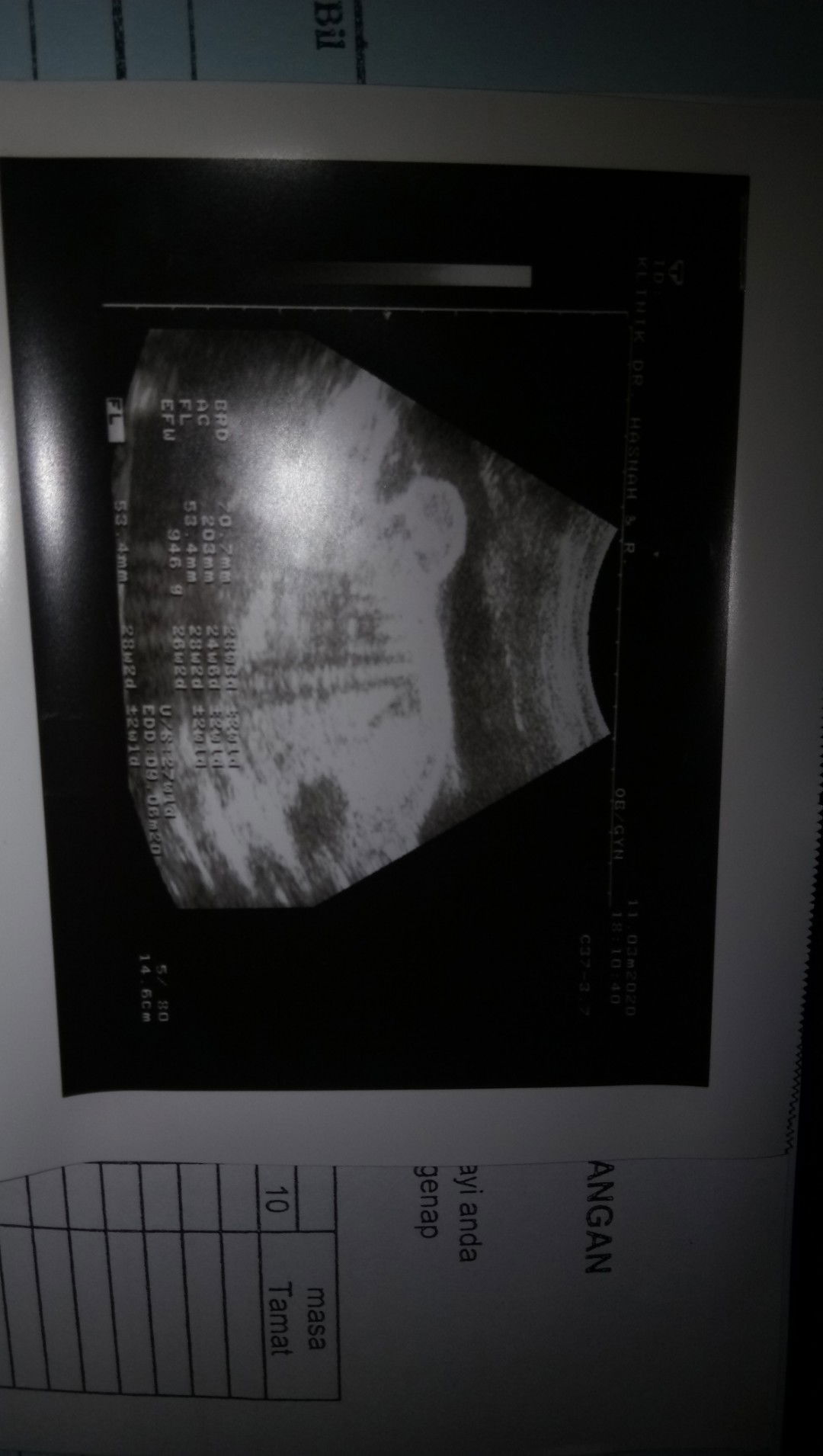 Hana Cute profile icon