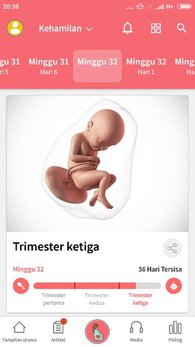 32week