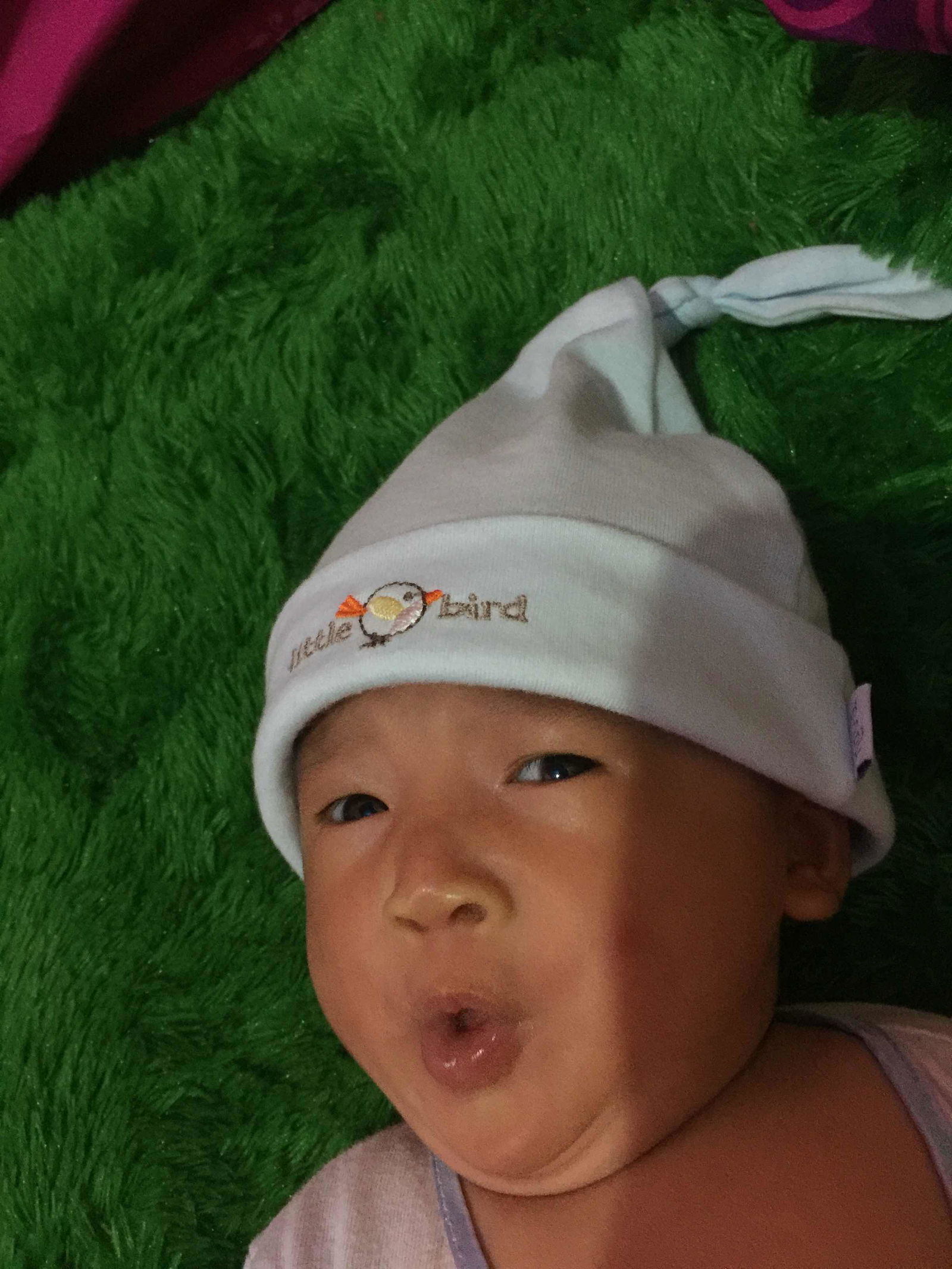 novi selviani profile icon