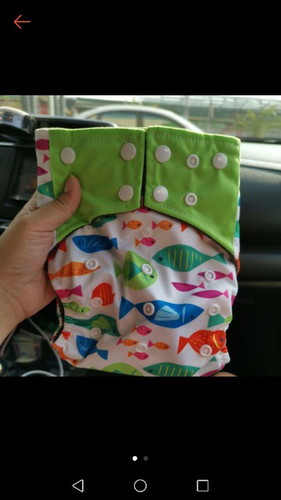 Cloth Diaper