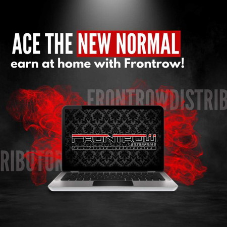 Extra Income while on quarantine.