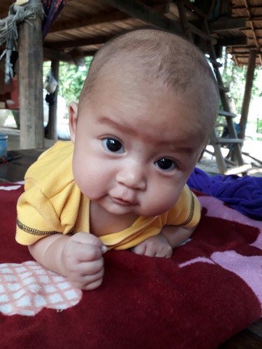 ขอดูลูกๆบ้านอื่นหน่อยจ้า