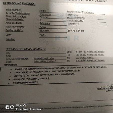 pelvic utrasound report