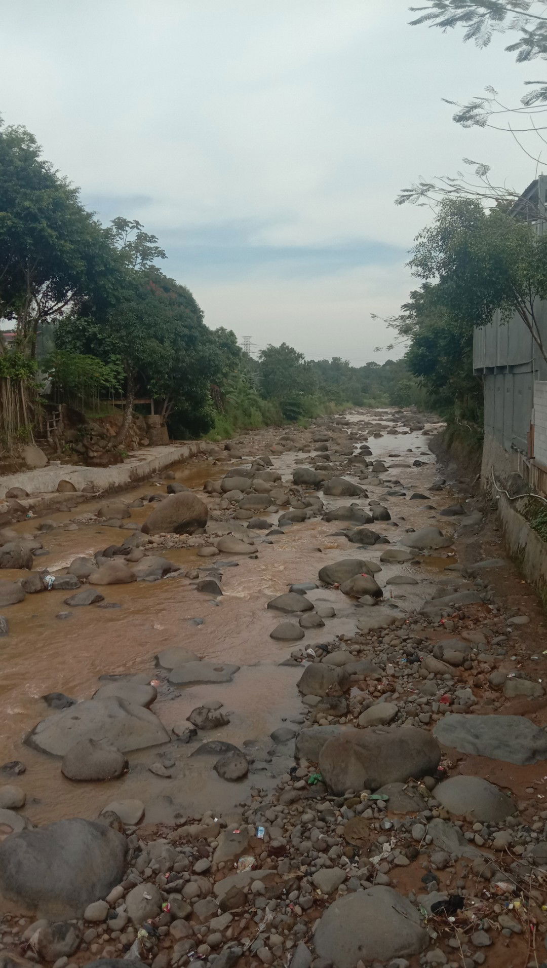 rumaisha profile icon