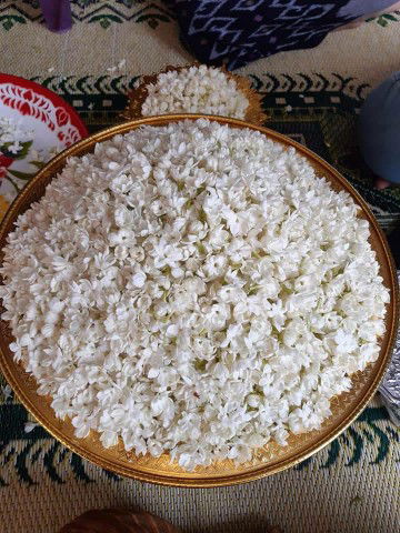 ลิเบีย profile icon