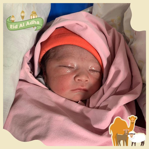 cream apichaya profile icon