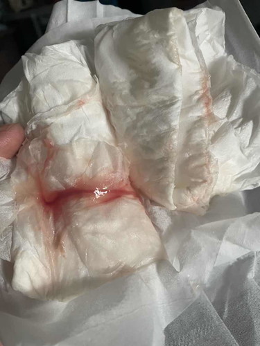 ทีม22 กุมภาพันธ์ 2567