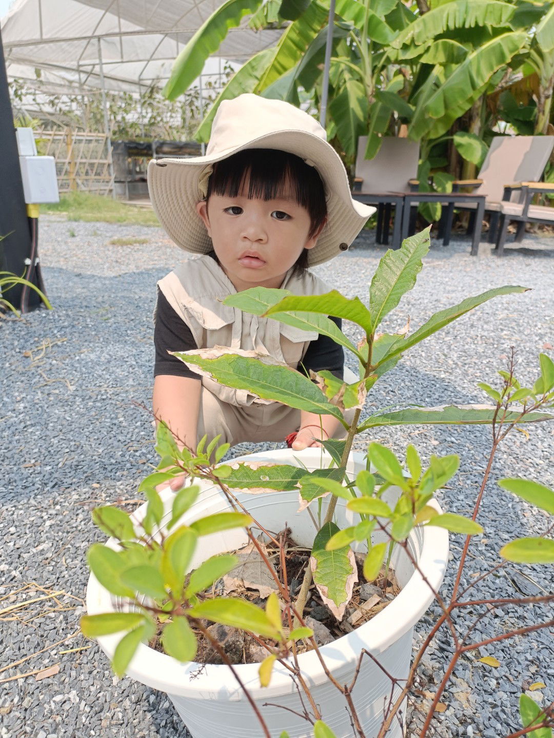 Kornkanok Surapee profile icon