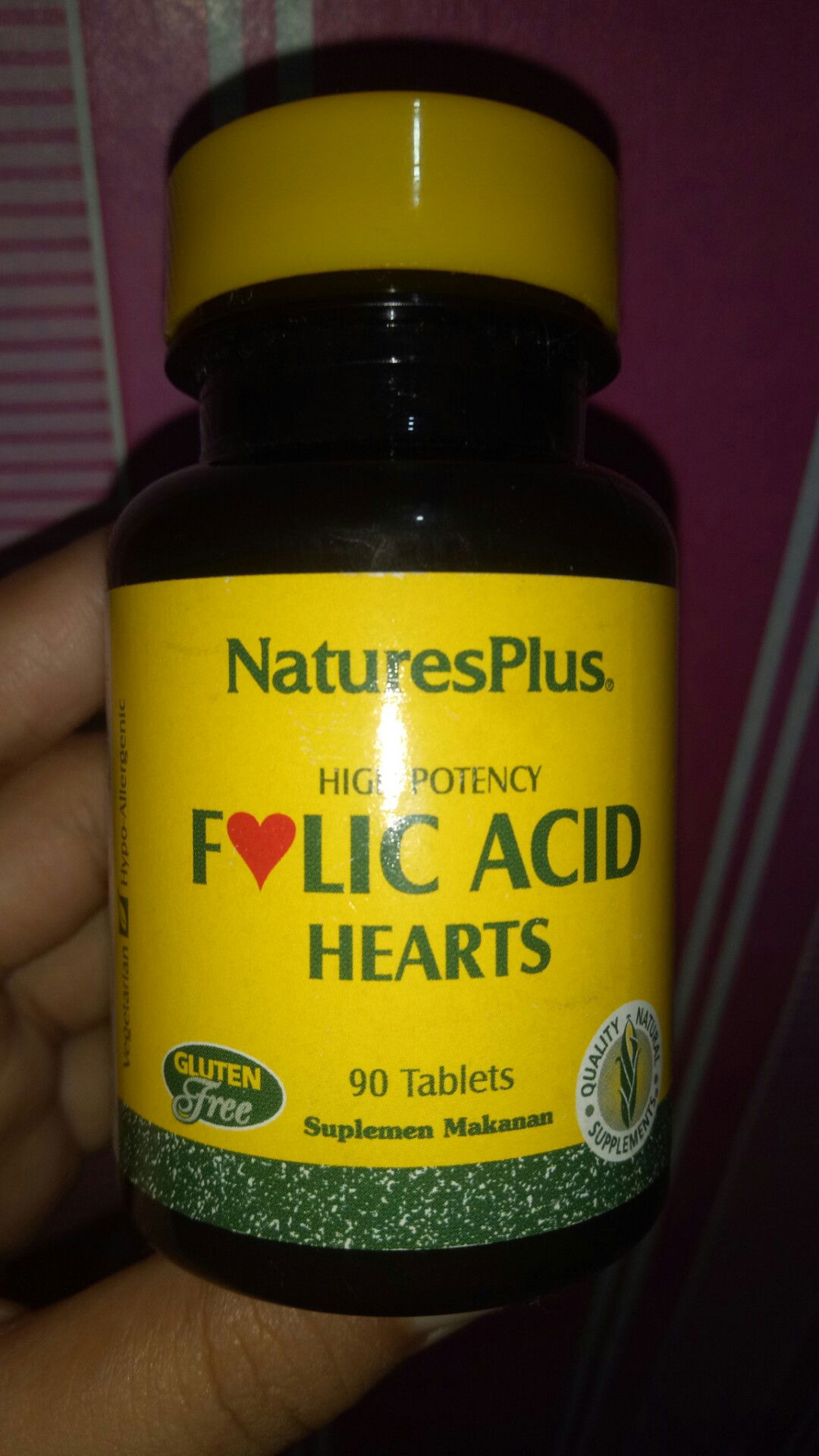 merencanakan kehamilan