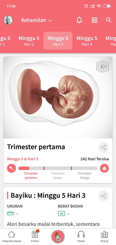 hamil 5 minggu