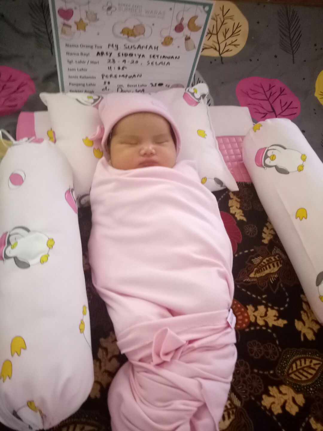 Cucan Saranghae profile icon