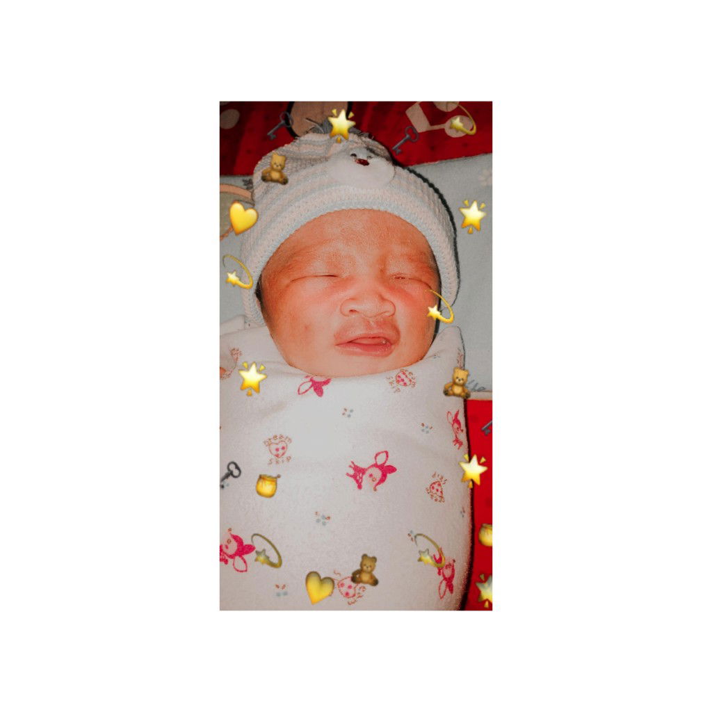 momsWildan profile icon