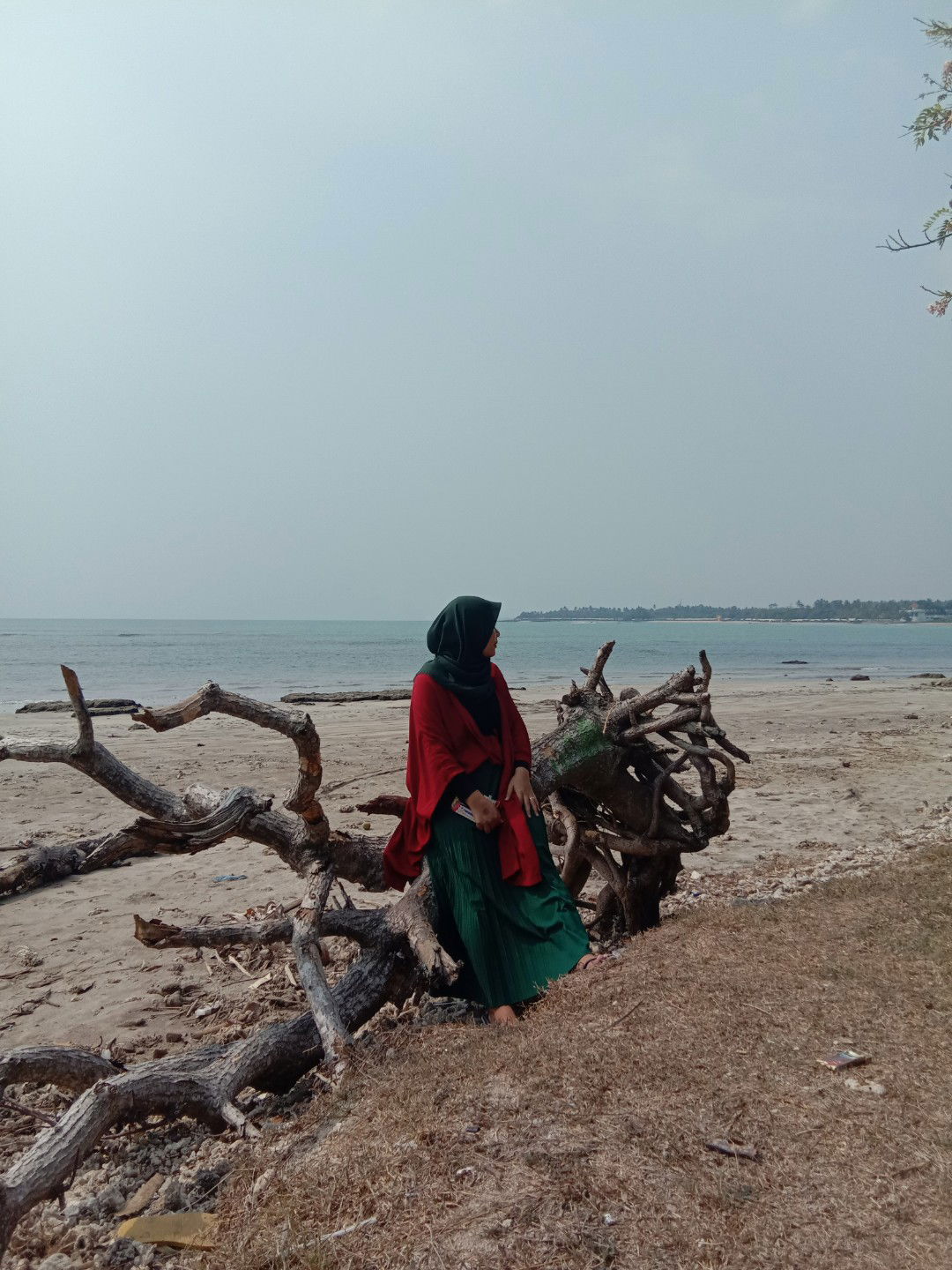 linda arilda profile icon