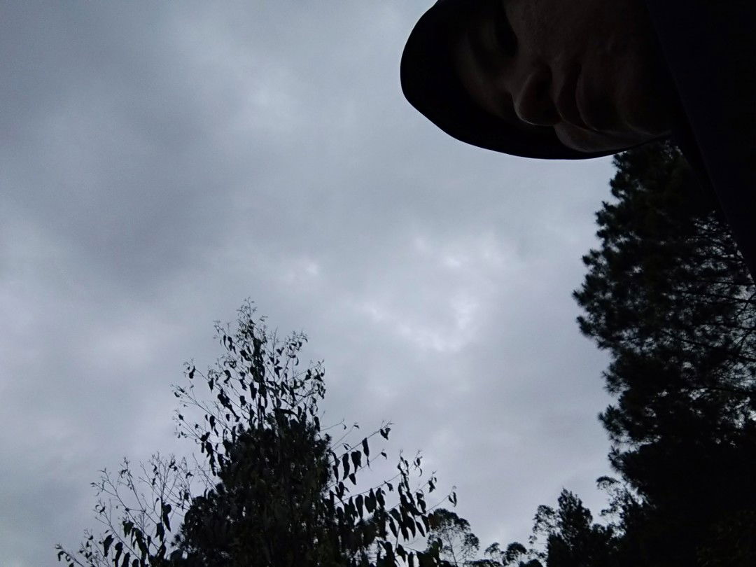 Faradillah Putri profile icon