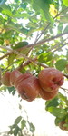 riien profile icon