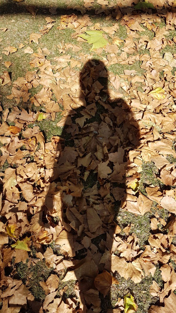 Rakhi Priyadarshini profile icon