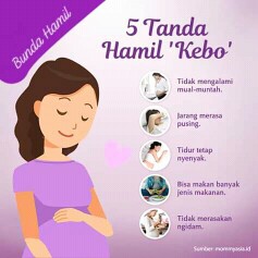 Hamil kebo