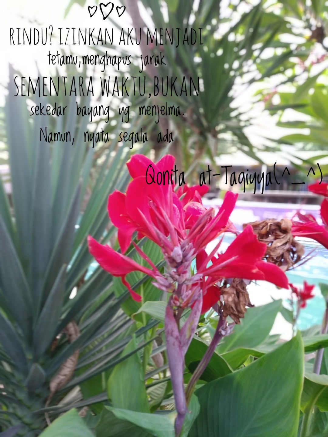 muyassaroh profile icon