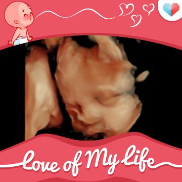 Syifa Fauziah profile icon